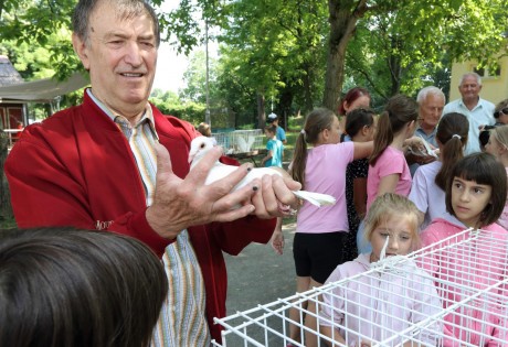 Óriásnyulakkal és díszes galambokkal ismerkedtek a gyerekek a Napraforgó Táborban